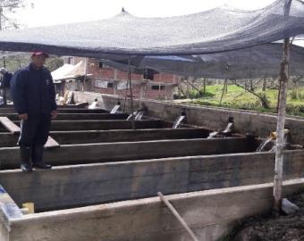 La construction de l'acquarium pour l'élevage des poissons
