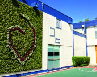 Mur de l'école avec des plantes représentant le cœur ouvert de la Société.
