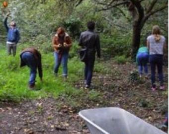 Arboles frutales
