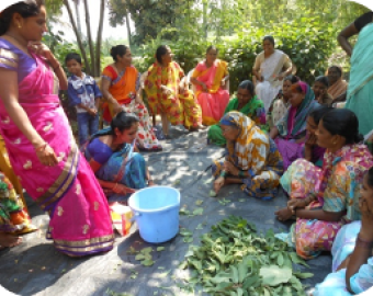 Organic farming traing.&nbsp;

&nbsp;
